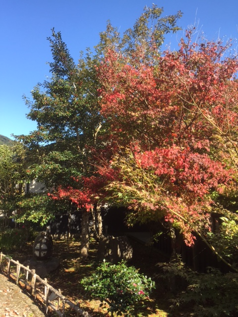 嘉例川の風景