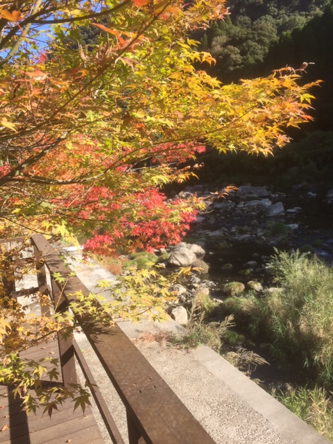 嘉例川の風景
