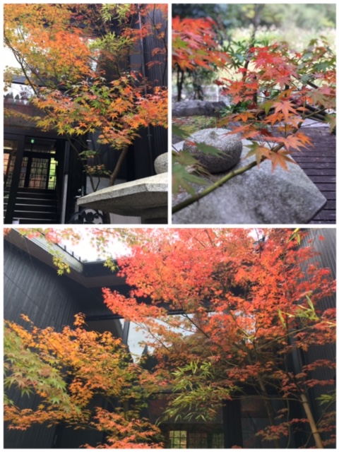 嘉例川の風景