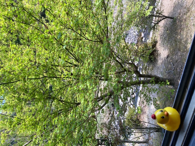 嘉例川の風景