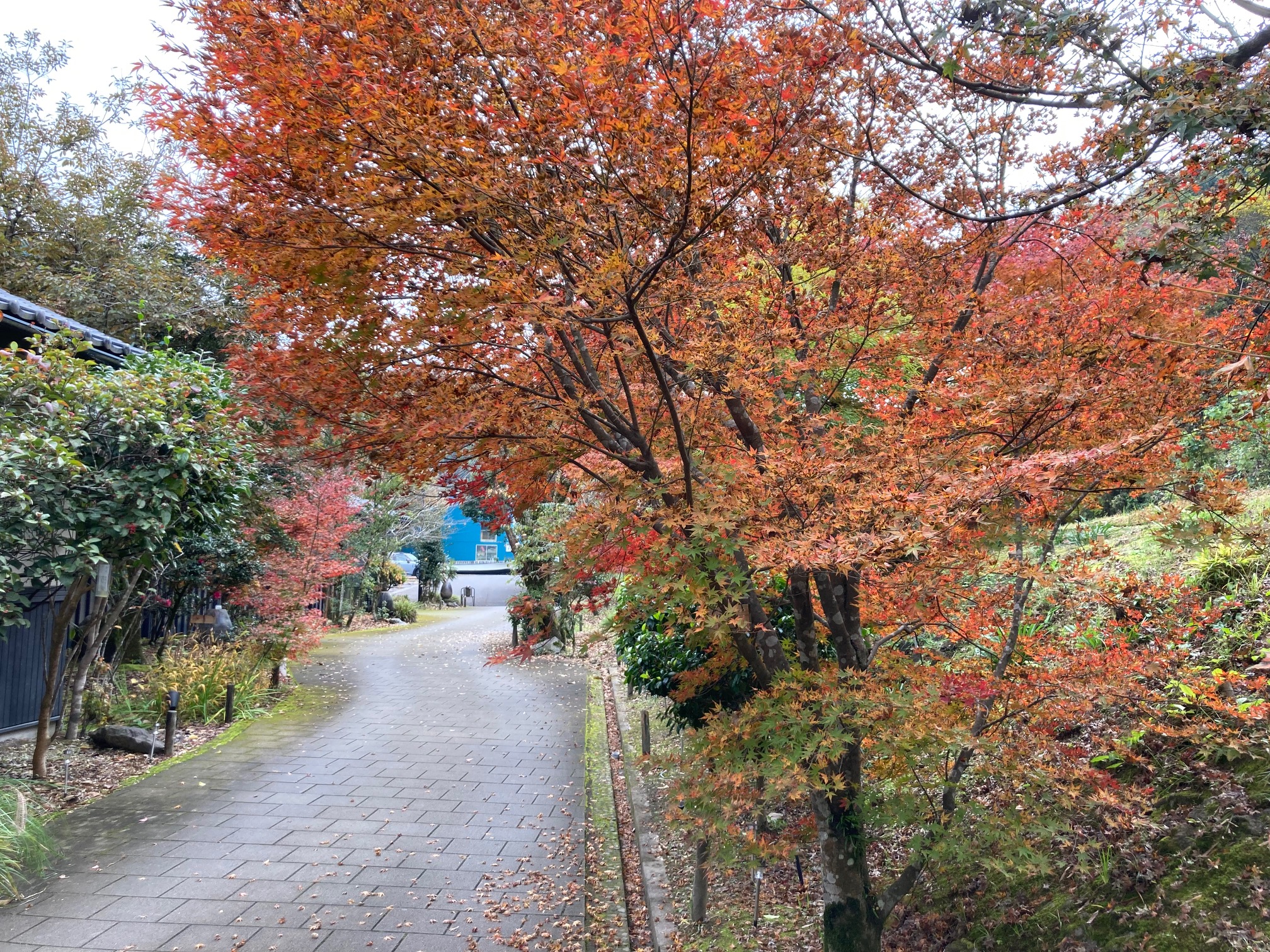 嘉例川の風景